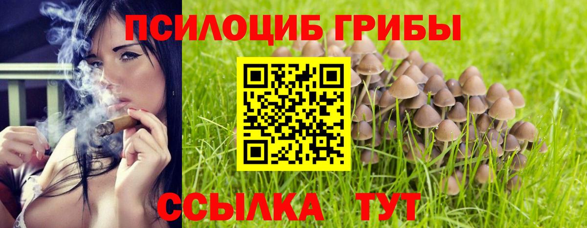 Псилоцибиновые грибы Magic Shrooms Ессентуки