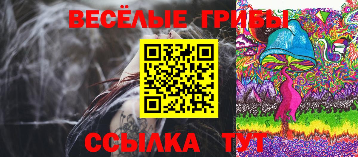 Ессентуки  Псилоцибиновые грибы ЛСД  Вход с VPN 